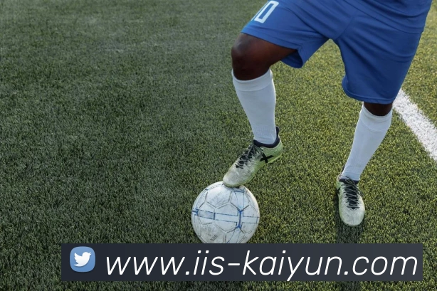 开云体育官方网站平台生态图